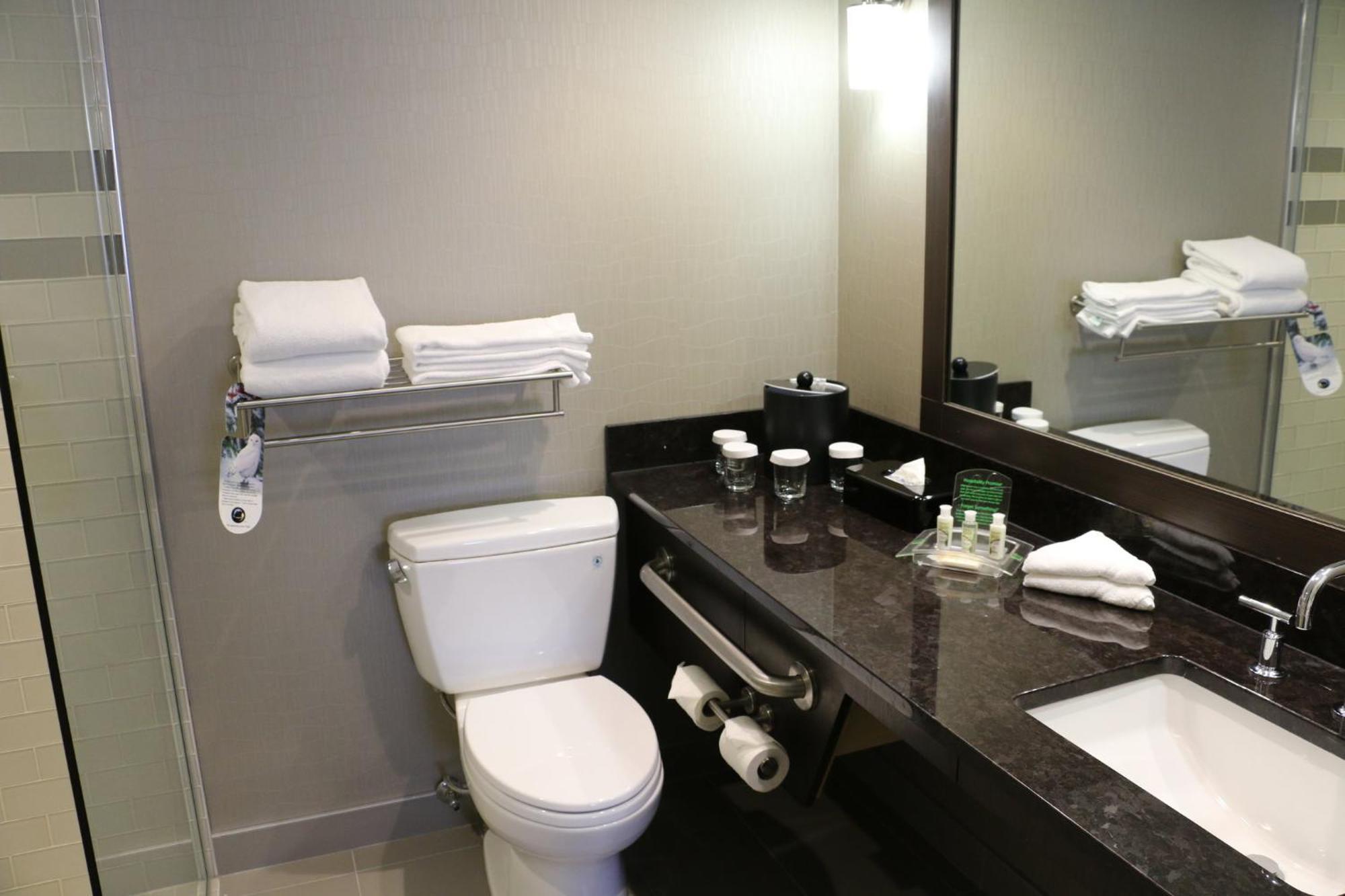 Holiday Inn Calgary Airport By Ihg Exteriér fotografie